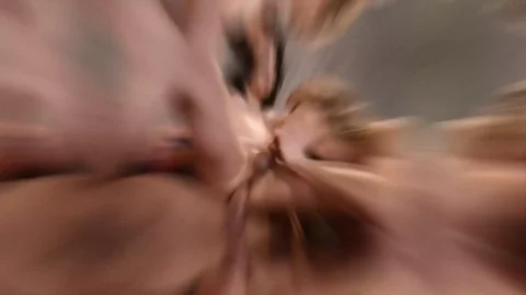 Booming Trans Blondie Compilation Ft Emma Rose, Brittney Kade & More!!