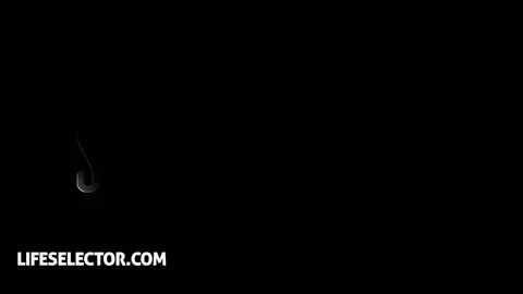 Megan Murkovski, Tiffany Tatum & Blue Chanelle Celebrate Your Birthday with a...