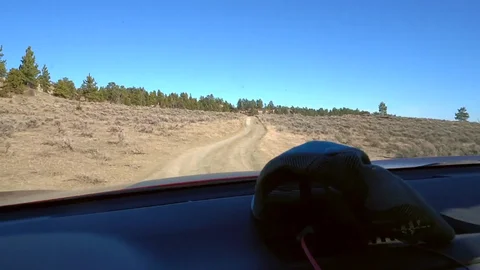 Stranded Hiker Is Very Thankful for the Ride ;)