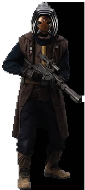 syndicete