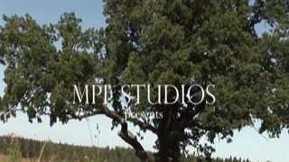 MPLStudios - Artisa